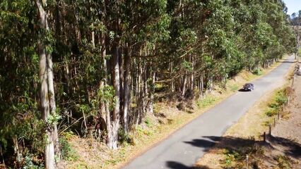 С помощью беспилотника сняли порнофильм Drone Boning