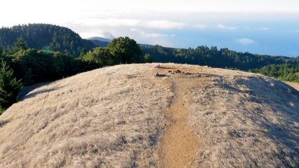 С помощью беспилотника сняли порнофильм Drone Boning