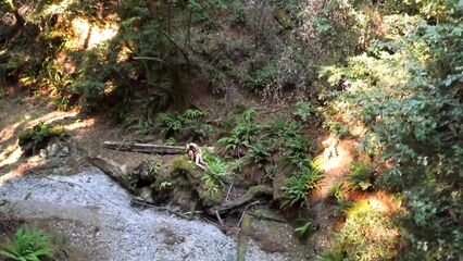 С помощью беспилотника сняли порнофильм Drone Boning