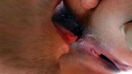 Грязный анал Келли в Риме 1 (2000) Rocco Siffredi