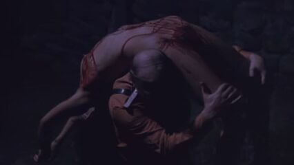 Женщины, депортированные в специальный лагерь СС (1976)