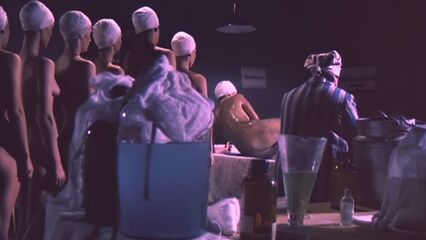 Женщины, депортированные в специальный лагерь СС (1976)