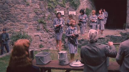 Женщины, депортированные в специальный лагерь СС (1976)