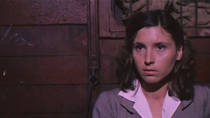 Женщины, депортированные в специальный лагерь СС (1976)